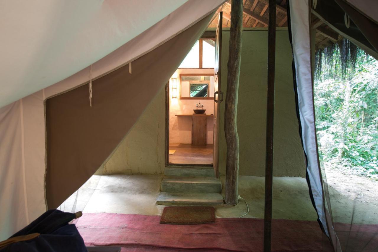 Tiger Tops Tharu Lodge Chitwan Exterior photo