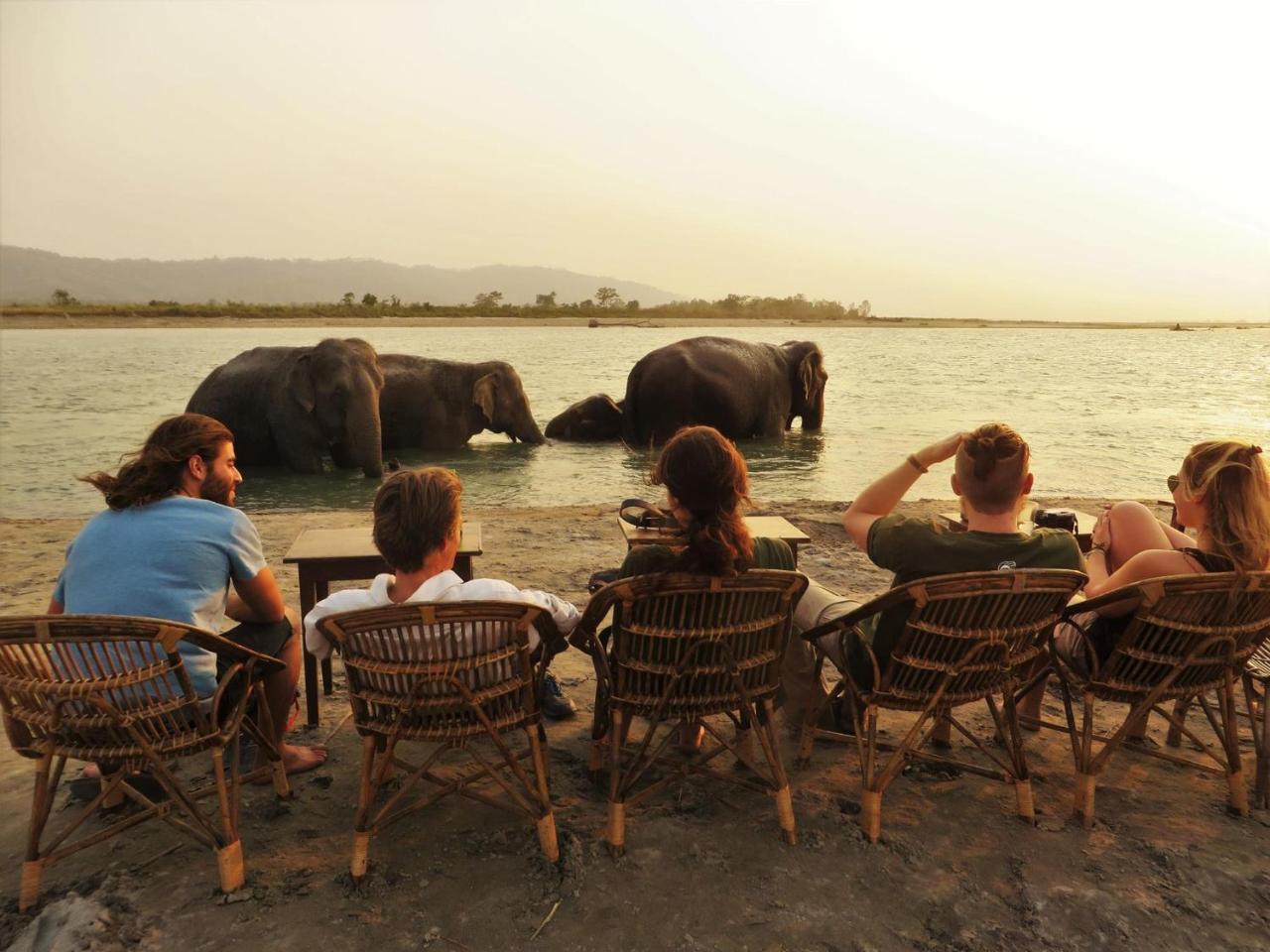 Tiger Tops Tharu Lodge Chitwan Exterior photo